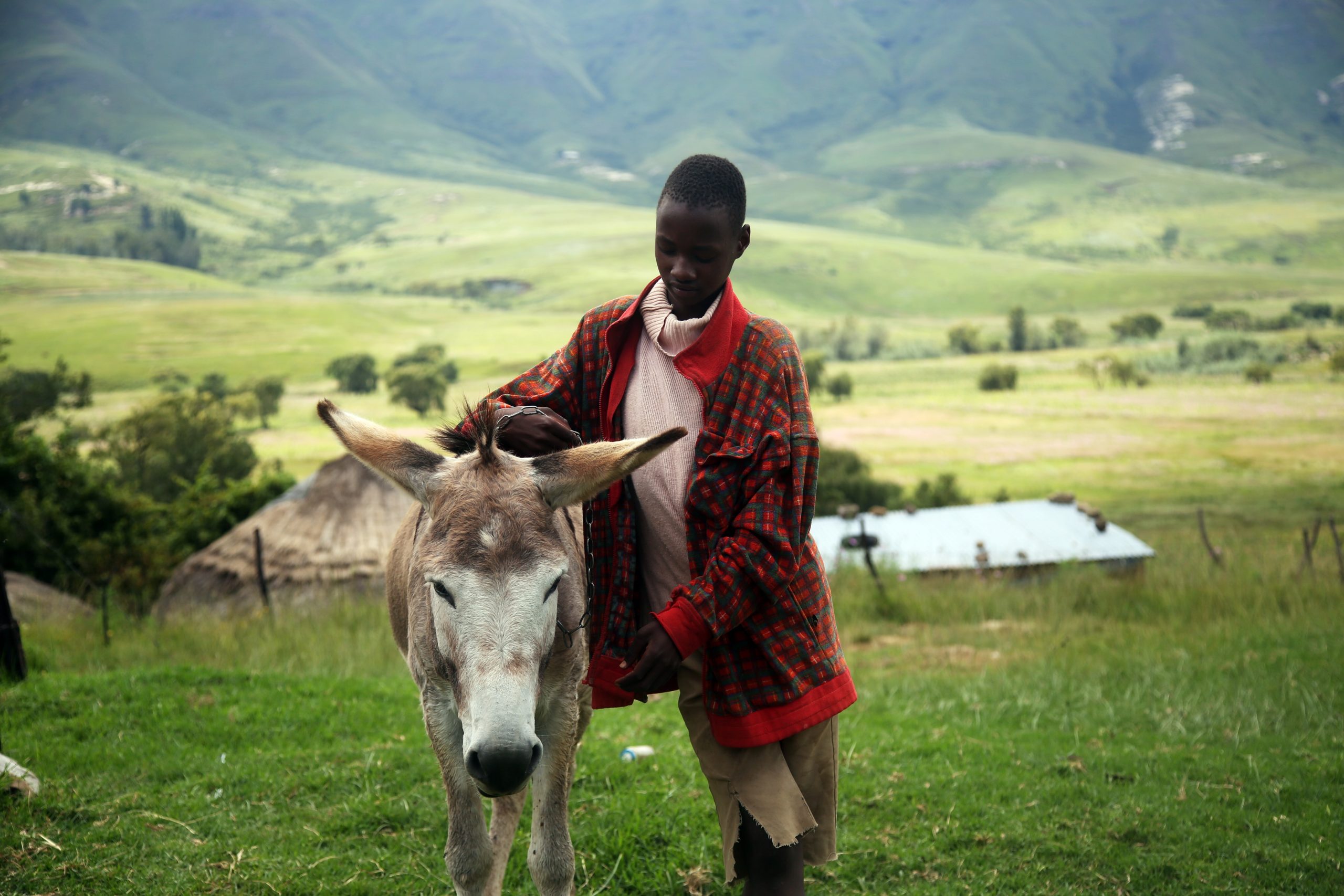 angelo-moleele-URroWgc_x2w-unsplash