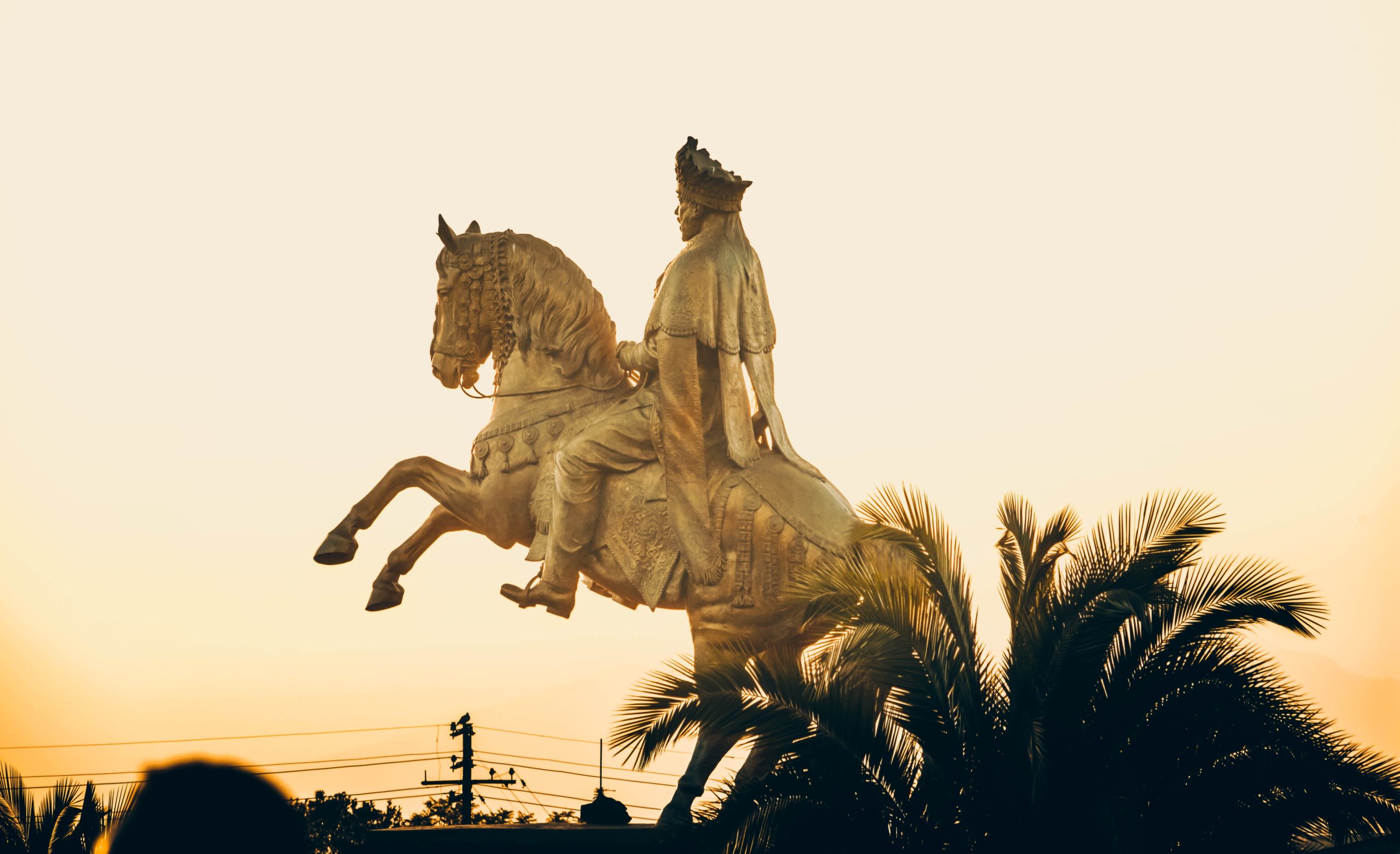 gift-habeshaw--C5cJ41YPDg-unsplash