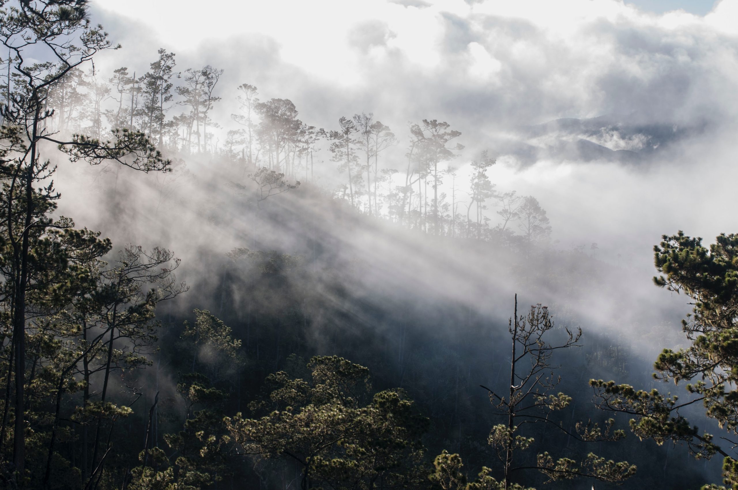 juan-fernandez-W7oPDwcqccQ-unsplash
