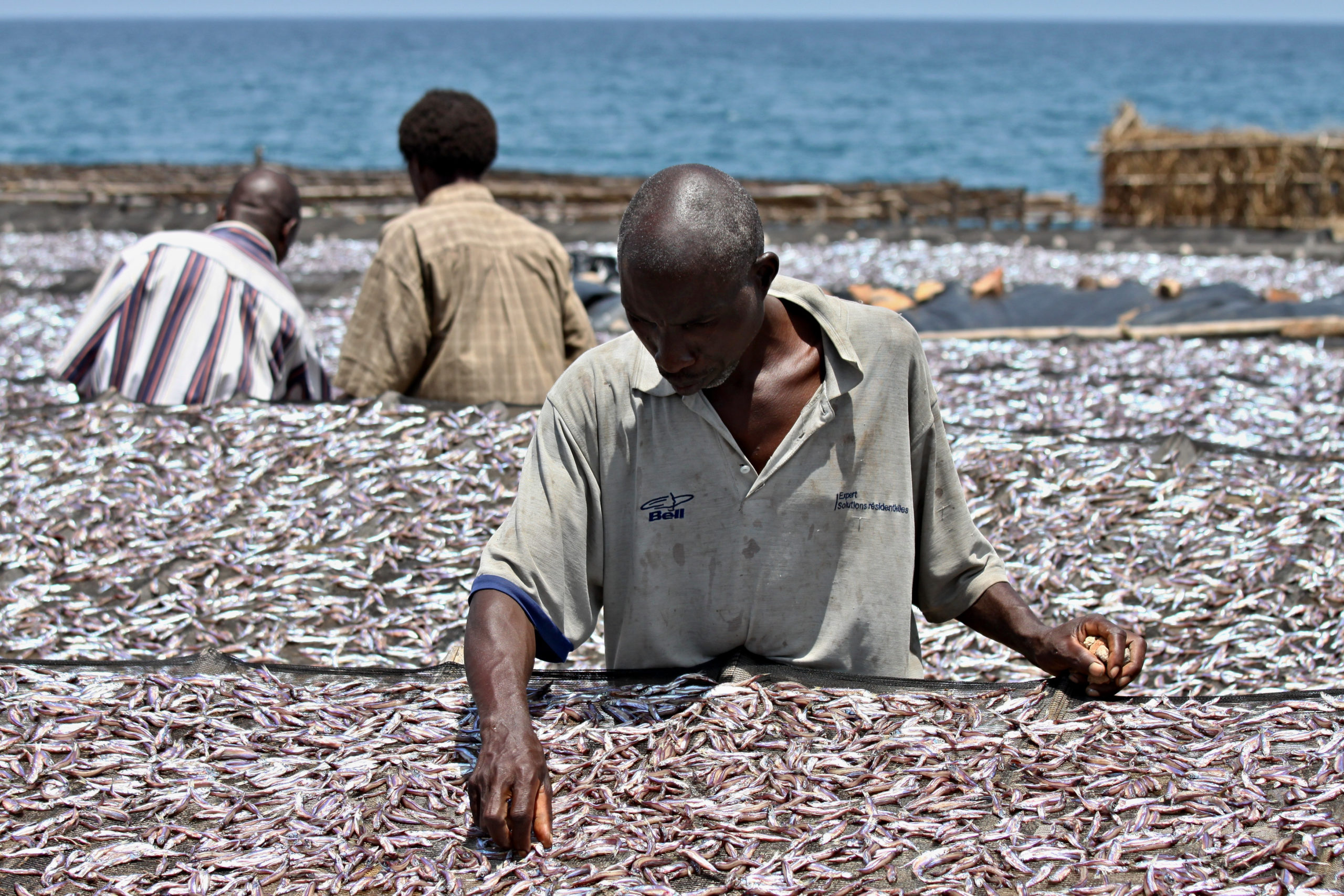 Burundian,Men,Dry,Fish,At,Tanganyika,Lake.,14th,March,2012.